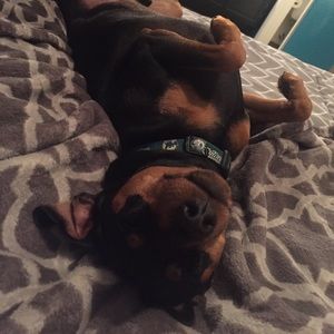 Meet your Posher, Jordyn